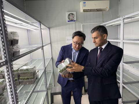 Azərbaycan Çində pambıqçılıqda innovativ əkin və avtomatlaşdırılmış yığım texnologiyaları ilə tanış olub