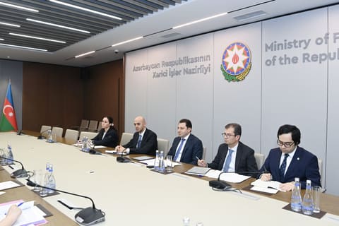 Elnur Məmmədov UNESCO-nun Baş direktorunun müavini ilə görüşüb