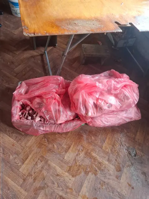 Gəncədə dönər əti hazırlayan sexin fəaliyyəti dayandırılıb