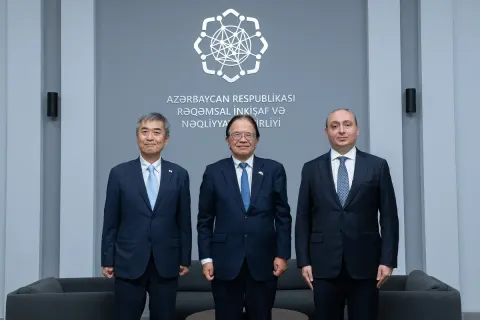 Azərbaycan və Yaponiya fəlakətlərin qarşısının alınmasında İKT-nin tətbiqini müzakirə edib