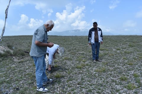 Kəlbəcərin dəvəgözü yataqlarında beynəlxalq arxeoloji tədqiqat aparılıb