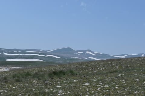Kəlbəcərin dəvəgözü yataqlarında beynəlxalq arxeoloji tədqiqat aparılıb
