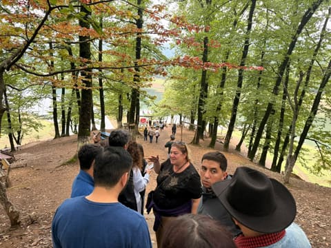 Lənkəran və Astaranın turizm imkanları yerli sənaye nümayəndələrinə təqdim olunub
