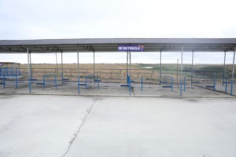 Ölkədə fəaliyyətə başlayan heyvan bazarlarının sayı 20-yə çatıb