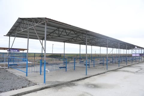 Ölkədə fəaliyyətə başlayan heyvan bazarlarının sayı 20-yə çatıb
