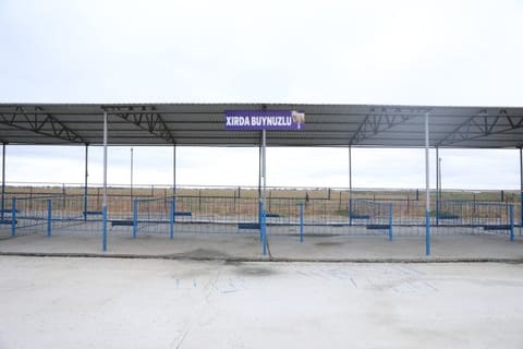 Ölkədə fəaliyyətə başlayan heyvan bazarlarının sayı 20-yə çatıb