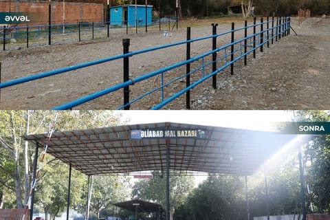 Ölkədə fəaliyyətə başlayan heyvan bazarlarının sayı 20-yə çatıb
