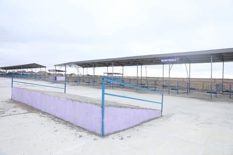 Ölkədə fəaliyyətə başlayan heyvan bazarlarının sayı 20-yə çatıb