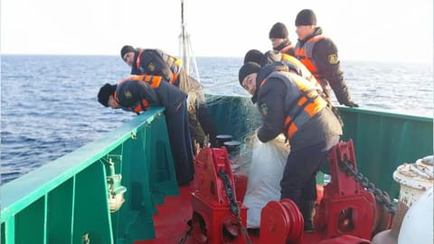 Qazaxıstanda Xəzərdə brakonyerlik edən 126 nəfər saxlanılıb