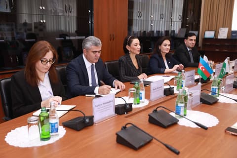 Səbinə Əliyeva Pakistanın Federal Konstitusiya Məhkəməsinin sədri ilə görüşüb