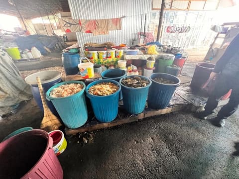 Şəmkirdə bazarda ciddi nöqsanlar aşkarlanıb - FOTOLAR