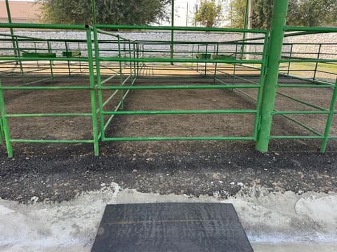 Şəmkirdə yeni heyvan satışı bazarı fəaliyyətə başladı