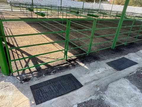 Şəmkirdə yeni heyvan satışı bazarı fəaliyyətə başladı