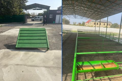 Şəmkirdə yeni heyvan satışı bazarı fəaliyyətə başladı