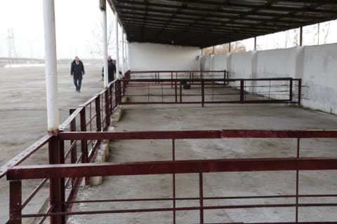 Salyan heyvan bazarı yenidən qurulub