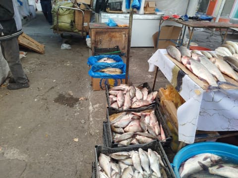 Saatlı, Lənkəran və Şəki rayonlarında yerləşən ərzaq bazarlarında monitorinqlər aparılıb