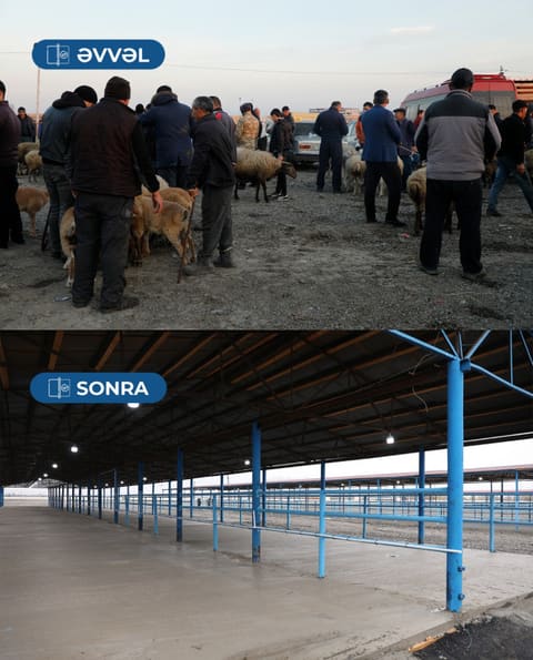 Bərdə heyvan satışı bazarı fəaliyyətə başlayıb