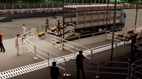 Nümunəvi heyvan bazarı layihəsinin 3D animasiyası təqdim edilib