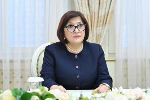 Sahibə Qafarova Slovakiyanın ölkəmizdəki səfiri ilə görüşüb