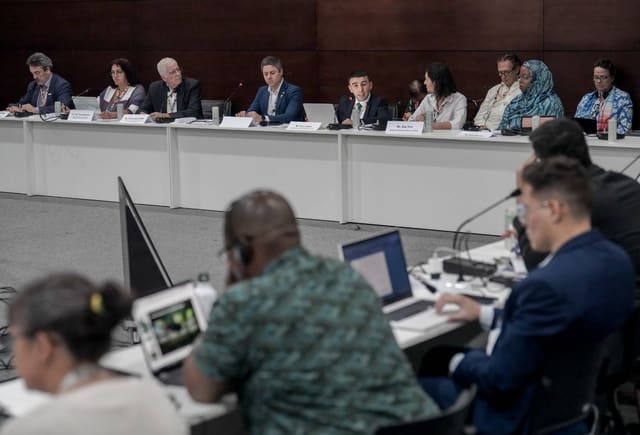 Azərbaycanın COP29-da irəli sürdüyü təşəbbüs qlobal nailiyyətə çevrilib