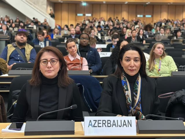 Ombudsman Cenevrədə BMT-nin Biznes və İnsan Hüquqları Forumunda iştirak edib
