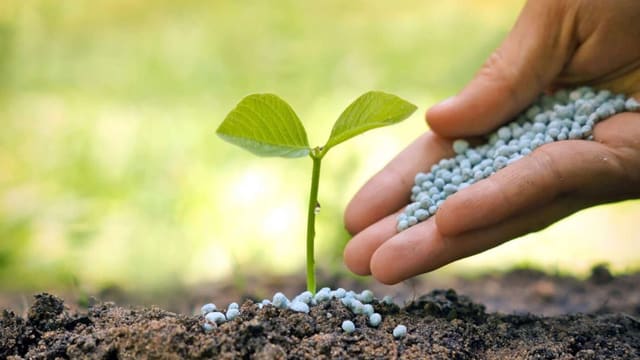 Azərbaycanda gübrə istehsalı 10%-ə yaxın azalıb