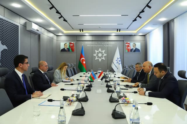 Azərbaycanla Misir arasında minatəmizləmə sahəsində əməkdaşlıq müzakirə olunub