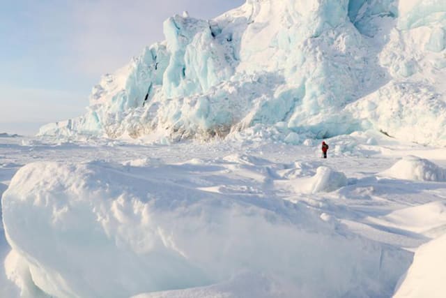 Arktikada temperatur rekord həddə çatıb