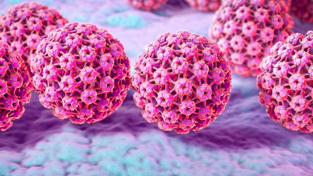 HPV-yə qarşı mübarizə: Peyvənd niyə vacibdir?