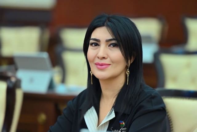 Prezidentin təhsilə baxışı: gələcək üçün strateji investisiya - ŞƏRH