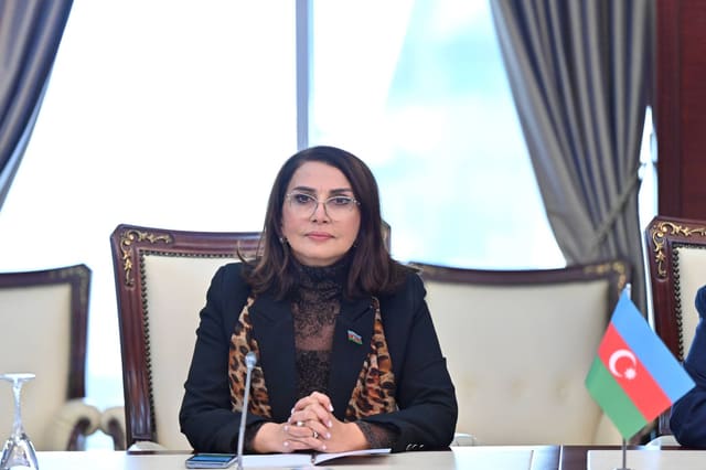 Deputat: Qarabağ və Şərqi Zəngəzura qayıdış planlı sosial siyasət əsasında həyata keçirilir