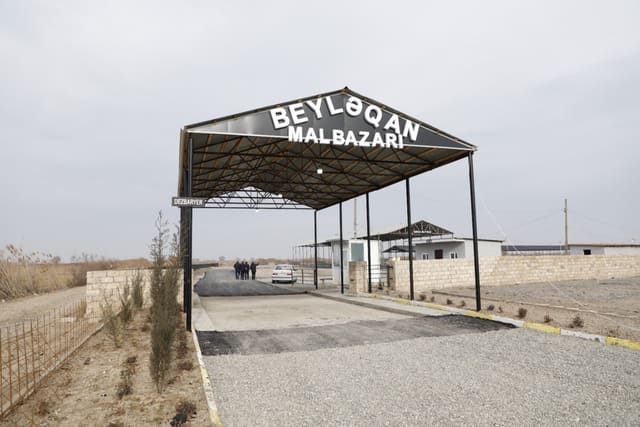 İmişli və Beyləqan heyvan bazarları açılışa hazırdır 
