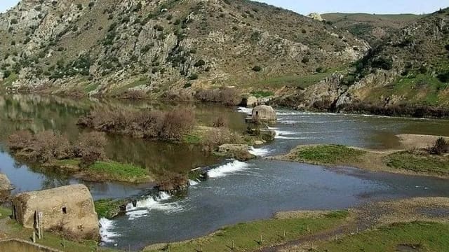 Portuqaliya çaylara investisiya qoyacaq