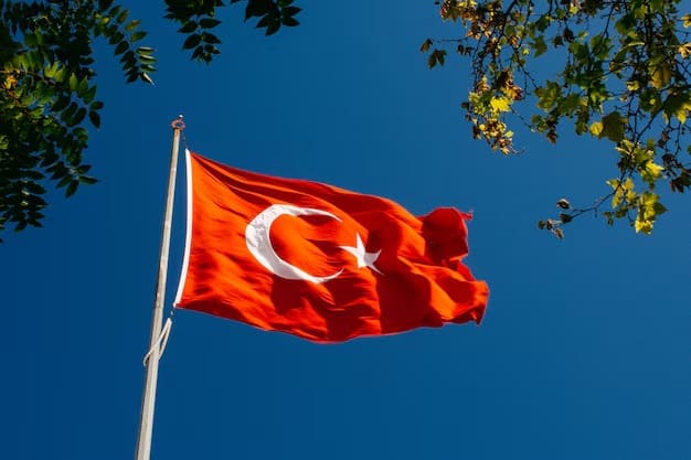 Türkiyə bayrağına  qarşı təxribat xarakterli hücumla əlaqədar 14 nəfər saxlanılıb