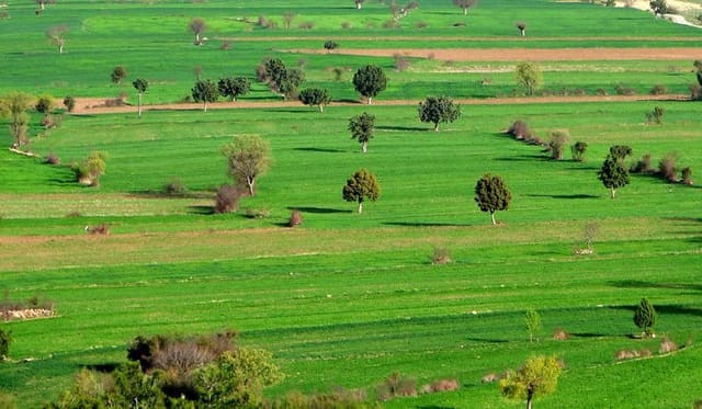  Ötən il 226 hektar torpaq sahəsinin kateqoriyası dəyişdirilib