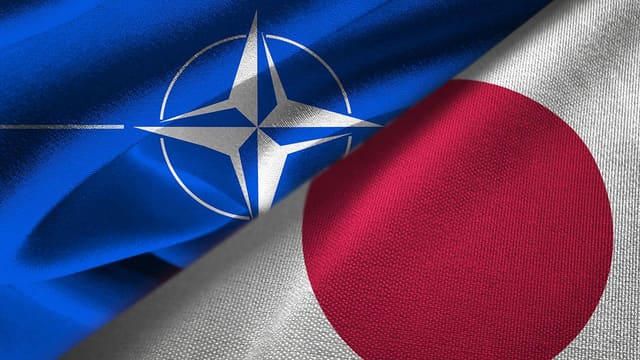 Yaponiya və NATO kibertəhlükəsizlik sahəsində əməkdaşlığı müzakirə ediblər