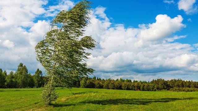 Küləkli hava şəraiti ilə bağlı sarı xəbərdarlıq verilib
