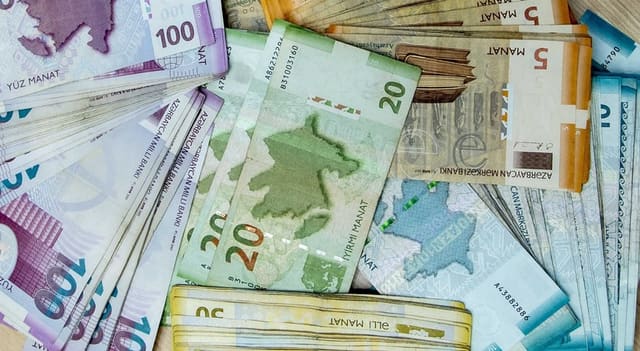 Azərbaycanda daha 4 müavinət növü proaktiv qaydada təyin ediləcək