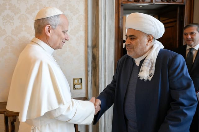 QMİ sədri Roma Papası ilə görüşüb