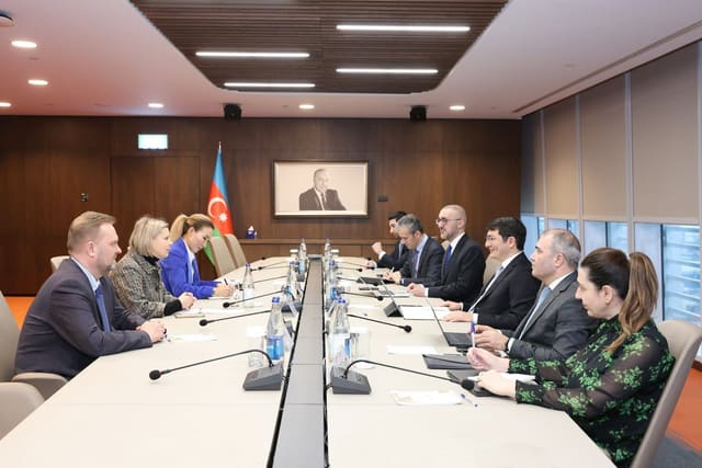 “Microsoft” şirkətinin Rumıniya, Moldova və MDB üzrə baş meneceri ilə görüş keçirilib