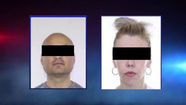 Özbəkistanda insan orqanlarının qanunsuz ticarəti ilə məşğul olan şəxslər saxlanılıb