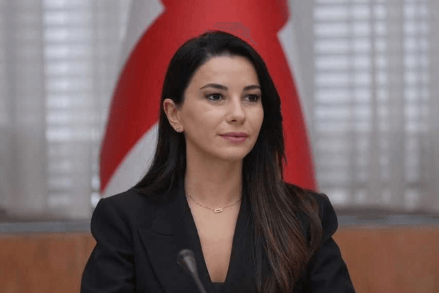 Gürcüstanın iqtisadiyyat və davamlı inkişaf naziri  Ermənistana səfərə yola düşüb