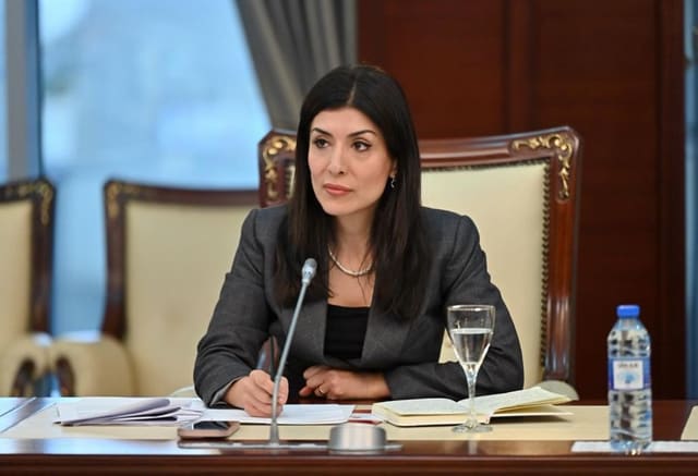 Nigar Arpadarai: “Azərbaycan hər zaman İrana təhlükəsiz qonşu olub”