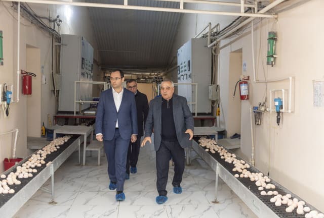  Məcnun Məmmədov Xızı və Abşeronda yerləşən quşçuluq müəssisələrinin fəaliyyəti ilə tanış olub