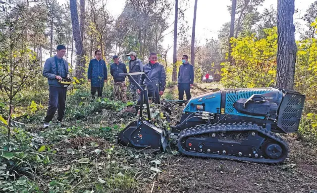 Çində robotlar meşələrin qorunmasına kömək edir