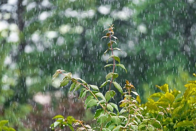 Havanın temperaturu 5 dərəcə enəcək - XƏBƏRDARLIQ