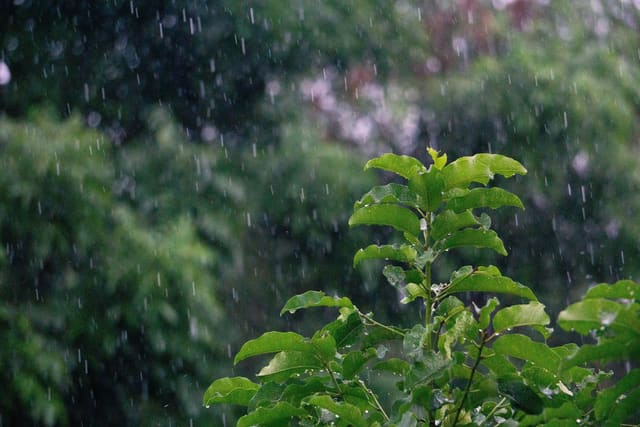 Qeyri-sabit hava şəraiti nə vaxta qədər davam edəcək? - PROQNOZ