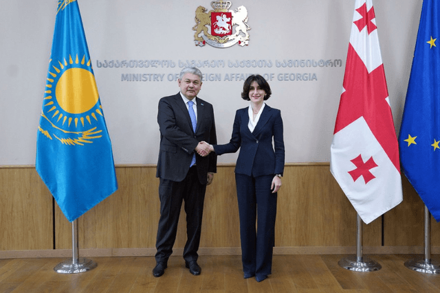 Qazaxıstan və Gürcüstan XİN rəhbərləri görüşüb