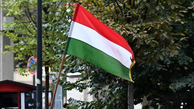 Macarıstanda parlament seçkilərində rekord fəallıq