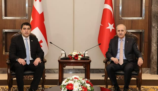 Şalva Papuaşvili Türkiyə Böyük Millət Məclisinin sədri ilə görüşüb